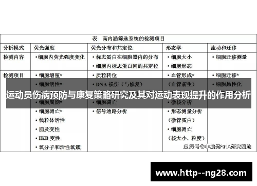 运动员伤病预防与康复策略研究及其对运动表现提升的作用分析 运动员伤病预防与康复策略研究及其对运动表现提升的作用分析